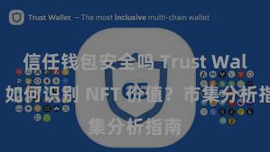 信任钱包安全吗 Trust Wallet 如何识别 NFT 价值？市集分析指南